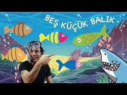Marakasi Salla Onur Erol Youtube Sarkilar Muzik Egitimi Faaliyetler