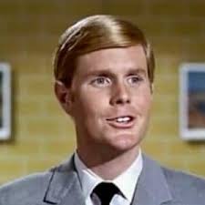 Watch With Six You Get Eggroll (1968) Full Movie Online