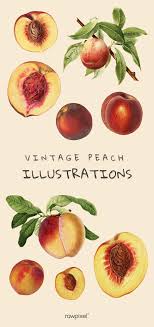 High Definition Fresh Fruit Watercolor Illustration Set In 2020 Illustration Fruit Image