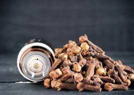 Spicy nutmeg, cinnamon, clove, ginger. 5 Fragrances Ginger Essential Oil Blends Well With Wellme