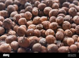 Image result for Vigna subterranea