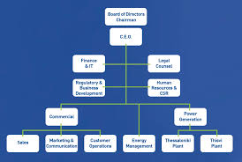 The Organizational Structure