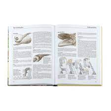 Deko ideen für garten terrasse und balkon selbstversorgung aus dem balkongarten. Selbstversorgung Aus Dem Garten Manufactum