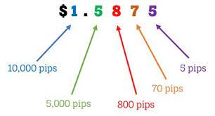 What Is A Pip Learn Then Trade Tradeforexsa