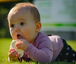 ▷ Pan BLW: Cuándo y Cómo Ofrecerlo, Recetas [GUÍA]