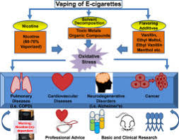 The scheer concludes that on health effects a). Graphical Review The Redox Dark Side Of E Cigarettes Exposure To Oxidants And Public Health Concerns Sciencedirect