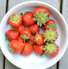 The Truth About Self Sufficiency On A Quarter Acre The Seasonal Homestead In 2020 Food Garden Growing Strawberries Fruit