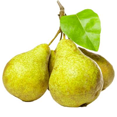 نهال گلابی سیبری