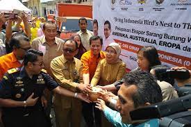Check spelling or type a new query. Tak Terimbas Corona Ekspor Sarang Burung Walet Sumut Ke China Tetap Tinggi Halaman All Kompas Com