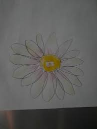 Check spelling or type a new query. Learn To Draw Tropical Flowers And Leaves Step By Step Directed Drawing Lesson Small Online Class For Ages 7 11 Outschool