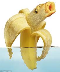 Something Fishy Either Genetic Engineering S Got Way Out Of Hand Or Someone S Been On Photoshop Animaux Banana Animales