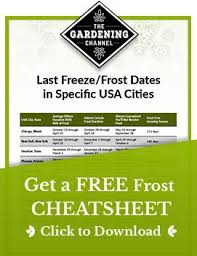 Maybe you would like to learn more about one of these? How To Learn Your Last Frost Date Or Freeze Date Gardening Channel