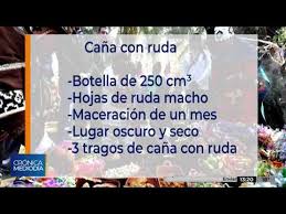 Si desea comprar árboles frutales online, en fitoagricola disponemos de una amplia variedad, al mejor precio y con rapidez en su entrega. Como Hacer La Cana Con Ruda Youtube