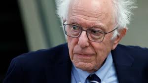 A rare hawk ended up in Maine but couldn't survive the winter. Now it'll  live