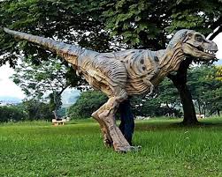 Life Size Baby T Rex Costume Rex Costume T Rex Costume Dinosaur Costume