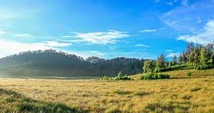 Hakcipta terpelihara 2016 jabatan perhutanan semenanjung malaysia Nature Conservation In A Frontier Region Of Java During The Colonial And Early Post Colonial Periods