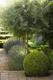 Garden Designer Visit Lavender Fields In Australia Gardenista Drought Tolerant Garden Beautiful Gardens Mediterranean Garden