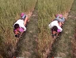 نيك في الغيط - gonta.tv