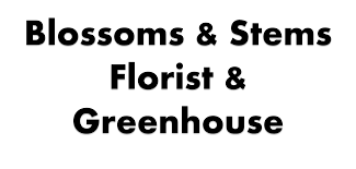 Bouquets, bouquet wraps, boutonnieres, centerpieces, corsages, flower crowns, flower delivery & setup, vases. Charleston Florist Flower Delivery By Blossoms Stems Florist Greenhouse