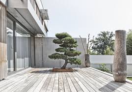 Bonsai Im Garten Ein Hauch Von Fernost Bauemotion De Zahrady A Kamene