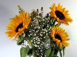 Maybe you would like to learn more about one of these? Tips For Sending Flowers To Hospitals Flower Press