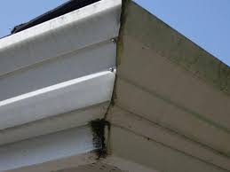 This Corner Needs To Be Resealed We Offer Resealing Re Sloping And Many Other Gutter Repairs House Gutters Gutter Repair Cleaning Gutters