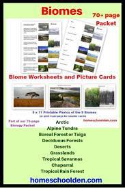 Learn About The 9 Major Biomes What Are The Major Biomes Arctic Alpine Tundra Boreal Forest Or Taiga Deciduous Forests Dese Biomes Biology Units Ecosystems