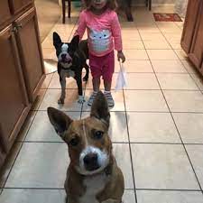 From there, you can then compare day care rates, parent reviews, view their specific services, see their hours of operation and contact them through the website for further. Animal Medical Care 12 Reviews Veterinarians 1604 W Ave H Temple Tx Phone Number