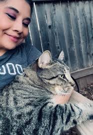 Have you seen a lost dog named Beast in Greeley, CO?