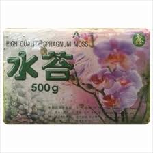 Image result for chilean sphagnum moss