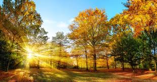 Aici găsești cele mai importante și populare ştiri despre politică, economie, tehnologie, știință, sănătate, sport și divertisment din românia și din lume. Prognoza Meteo Pentru Octombrie Cand ScÄƒpÄƒm De Frig È™i In Ce Regiuni Vor Fi Multe Zile Cu Soare Digi24