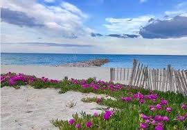 Saint Cyprien Plage Vacances Mer Argeles Sur Mer Locations Vacances