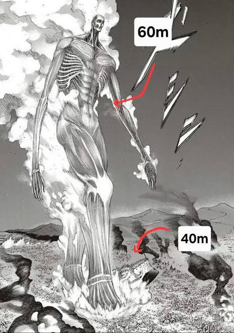 The Colossal Titan is very poorly dimensioned : r/attackontitan