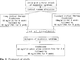 Long Versus Standard Prednisone Therapy For Initial Treatment Of Idiopathic Nephrotic Syndrome In Children Semantic Scholar