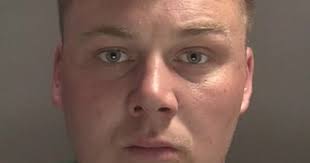 'Senseless violence'