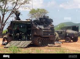 Image result for Gold 1998 AAV