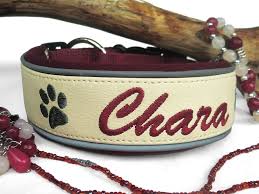 halsband kunstleder bestickt www peppetto de halsband halsband hund besticken