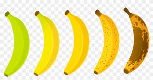 Lavida Banana The Banana Paradise Banana Ripeness Chart
