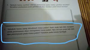 Tolong Dijawab Besok Dikumpul Brainly Co Id