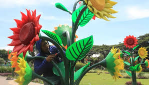 Kebun bunga ini ada di daerah malang, tepatnya. Bunga Matahari Senilai 4 Miliar Hiasi Alun Alun Malang Foto Tempo Co