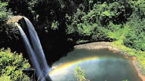 Colors Of The Rainbow Leo Rojas Pan Flute Music Music Instrumental Pan Flute Flute Music Types Of Music