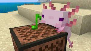 Baby axolotl have a 1/1200 chance of being an incredibly rare blue color, regardless of the parent's colors. Minecraft Axolotl In 2021 Minecraft Axolotl Axolotl Minecraft Minecraft Funny