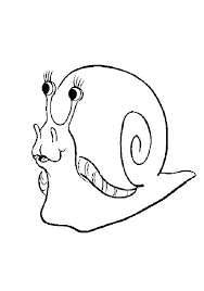 Snails Shocked Coloring Pages For Kids Ffa Printable Snails Coloring Pages For Kids Coloring Pages Coloring Pages For Kids Snail