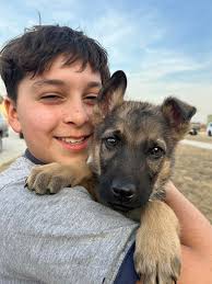 Hi all! I just wanted to introduce myself, and this is Apollo.