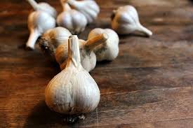 Two, you can braid them, so that can look pretty cool in your kitchen! How I Plant Grow Harvest And Store Garlic Kevin Lee Jacobs
