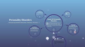 Image result for Cluster B Personality Disorder