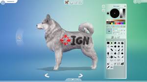 Microsoft kinect creative director kudo tsunoda was showing off an intriguing new 'pet sim' game called kinectimals at this year's microsoft e3 press conference in la. Create A Pet The Sims 4 Wiki Guide Ign