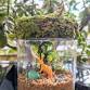 Family Activity Night: Dino-mite Terrariums event image