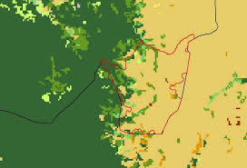 Image result for Trichopteryx marungensis