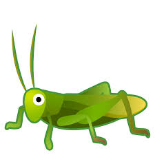 Crickets have a cosmopolitan distribution, being found in all parts of the world with the exception of. Cricket Icon Noto Emoji Animals Nature Iconset Google
